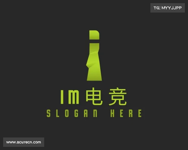 介绍im电竞